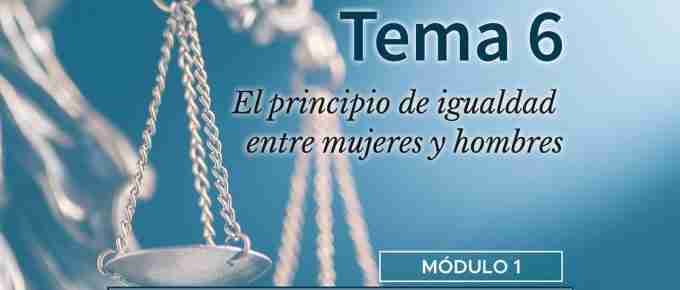 Tema 6. El principio de igualdad entre mujeres y hombres