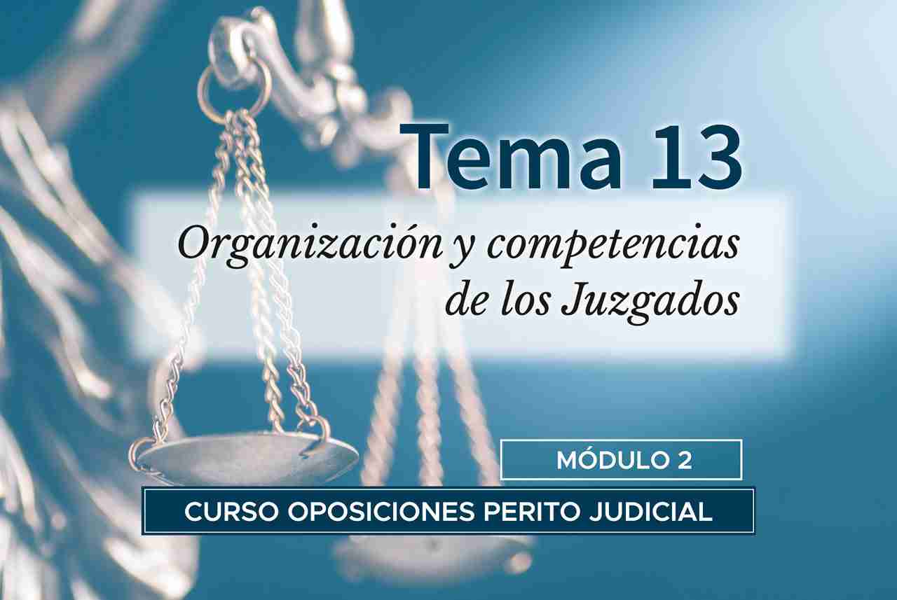 Tema 13. Organización y competencias de los juzgados
